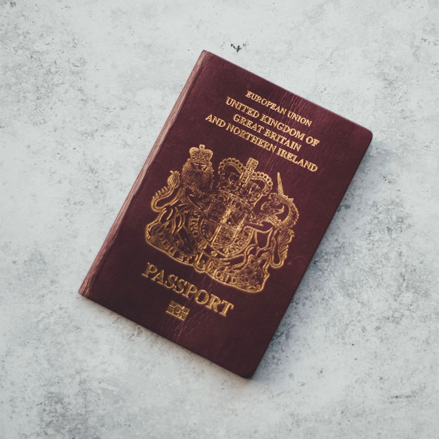 Photo by <a href="https://unsplash.com/@anniespratt?utm_content=creditCopyText&utm_medium=referral&utm_source=unsplash">Annie Spratt</a>