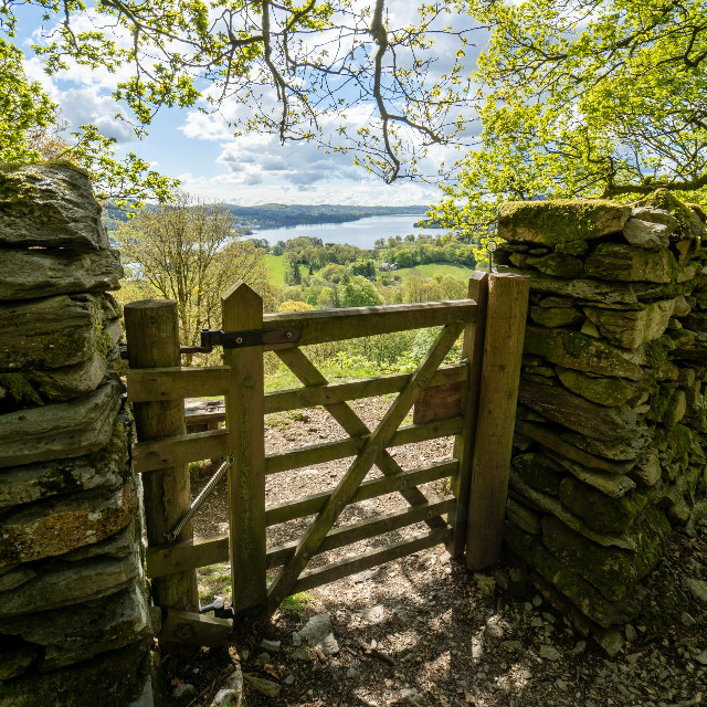 Photo by <a href="https://unsplash.com/@supergios?utm_content=creditCopyText&utm_medium=referral&utm_source=unsplash">Jonny Gios</a>