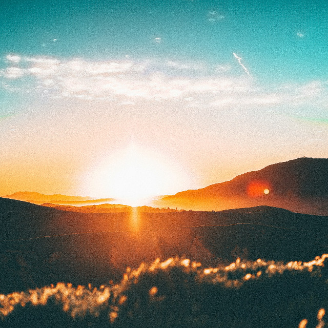 Photo by <a href="https://unsplash.com/@j_wozy?utm_content=creditCopyText&utm_medium=referral&utm_source=unsplash">Jordan Wozniak</a>