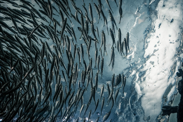 Photo by <a href="https://unsplash.com/pt-br/@lanceanderson?utm_source=unsplash&utm_medium=referral&utm_content=creditCopyText">Lance Anderson</a>