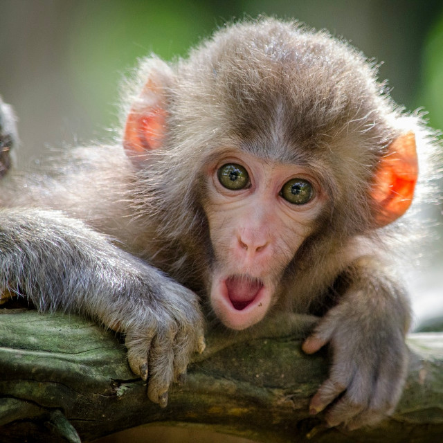 Photo by <a href="https://unsplash.com/@haughters?utm_source=unsplash&utm_medium=referral&utm_content=creditCopyText">Jamie Haughton</a>