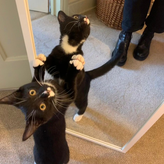 Photo ©️ Katy Cassels Rolt