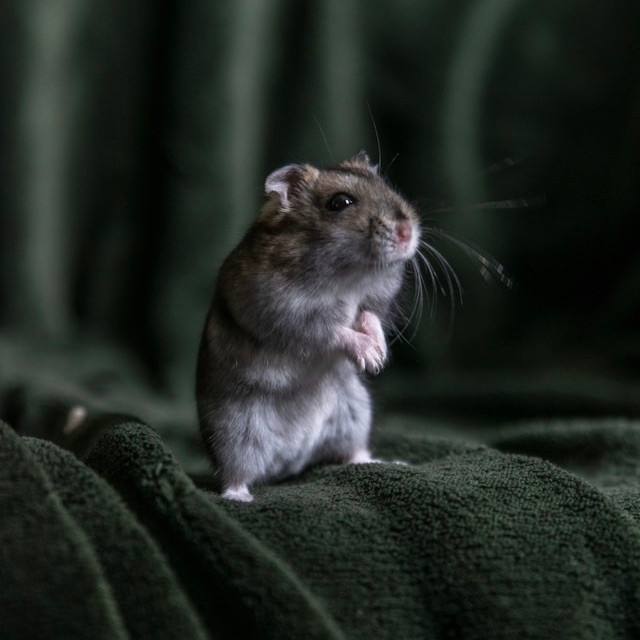 Photo by <a href="https://unsplash.com/@frenjaminbenklin?utm_source=unsplash&utm_medium=referral&utm_content=creditCopyText">Frenjamin Benklin</a>