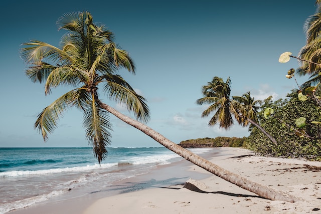 Photo by <a href="https://unsplash.com/@artic_studios?utm_source=unsplash&utm_medium=referral&utm_content=creditCopyText">Daniel Öberg</a>