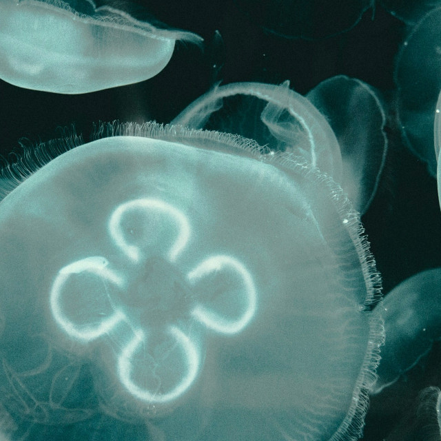 Photo by <a href="https://unsplash.com/@jonathandiemel?utm_content=creditCopyText&utm_medium=referral&utm_source=unsplash">Jonathan Diemel</a>