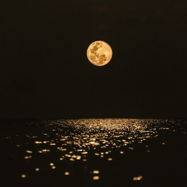 Photo by <a href="https://unsplash.com/@javardh?utm_source=unsplash&utm_medium=referral&utm_content=creditCopyText">Javardh</a>