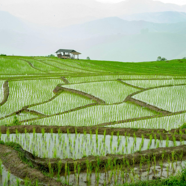 Photo by <a href="https://unsplash.com/@photographycoursenet?utm_source=unsplash&utm_medium=referral&utm_content=creditCopyText">PhotographyCourse</a>