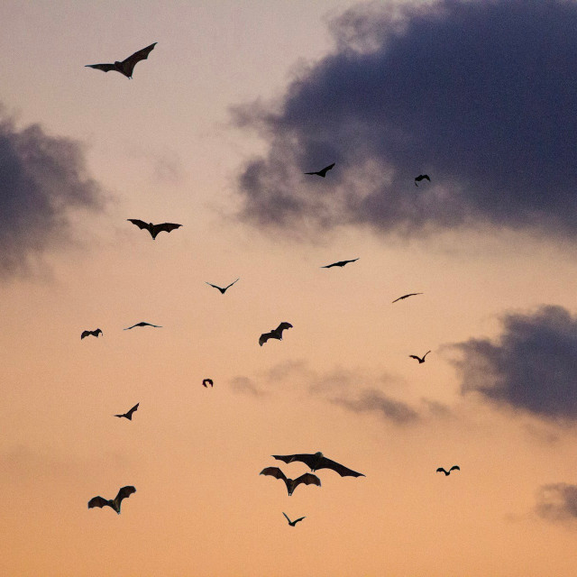 Photo by <a href="https://unsplash.com/@centelm?utm_source=unsplash&utm_medium=referral&utm_content=creditCopyText">Clément Falize</a>