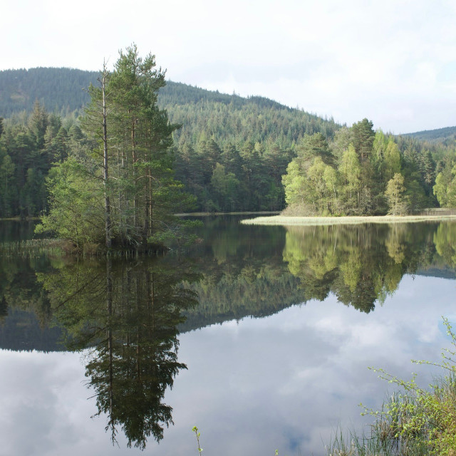 Photo by <a href="https://unsplash.com/@redevo?utm_content=creditCopyText&utm_medium=referral&utm_source=unsplash">Dave Robinson</a>