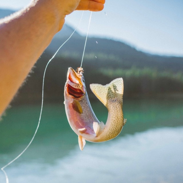 Photo by <a href="https://unsplash.com/@southwes?utm_source=unsplash&utm_medium=referral&utm_content=creditCopyText">Wes Walker</a>