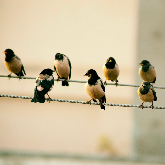 Photo by <a href="https://unsplash.com/@ridham?utm_content=creditCopyText&utm_medium=referral&utm_source=unsplash">Ridham Nagralawala</a>