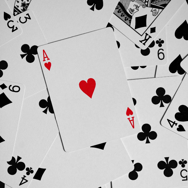 Photo by <a href="https://unsplash.com/@angshu_purkait?utm_source=unsplash&utm_medium=referral&utm_content=creditCopyText">Angshu Purkait</a>