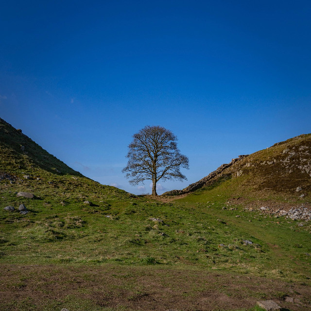 Photo by <a href="https://unsplash.com/@supergios?utm_content=creditCopyText&utm_medium=referral&utm_source=unsplash">Jonny Gios</a>