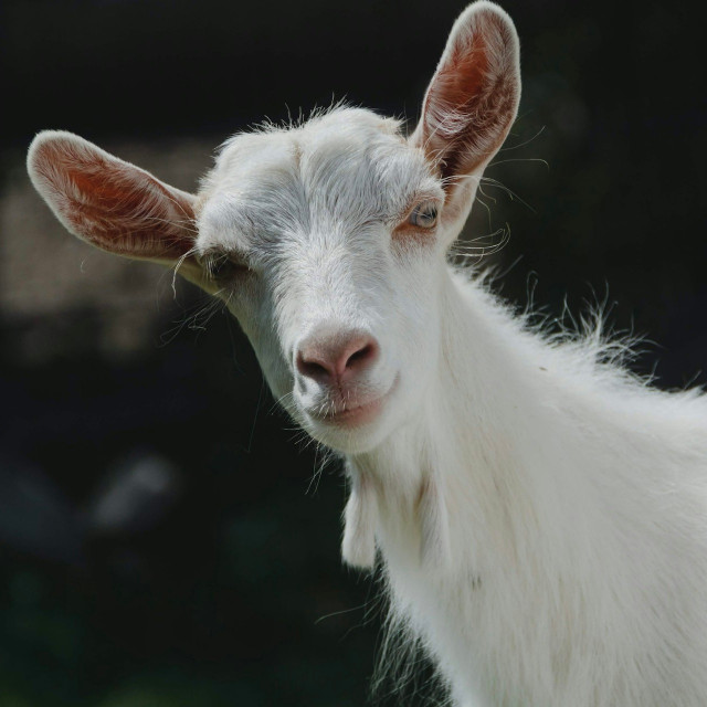 Photo by <a href="https://unsplash.com/@svalenas?utm_content=creditCopyText&utm_medium=referral&utm_source=unsplash">Sergiu Vălenaș</a>