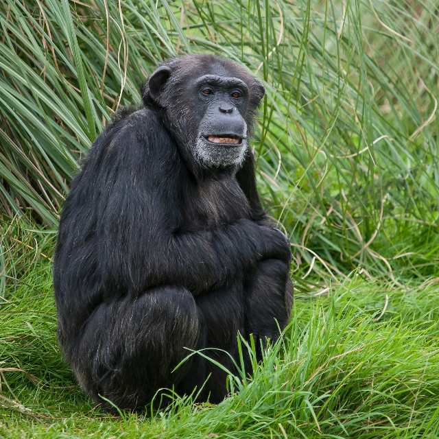 Photo by <a href="https://unsplash.com/@wwarby?utm_content=creditCopyText&utm_medium=referral&utm_source=unsplash">William Warby</a>