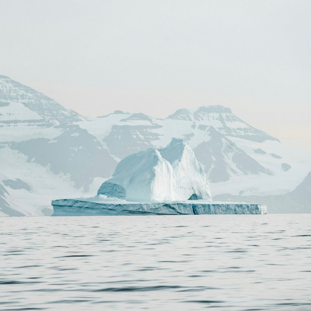 Photo by <a href="https://unsplash.com/@anniespratt?utm_content=creditCopyText&utm_medium=referral&utm_source=unsplash">Annie Spratt</a>