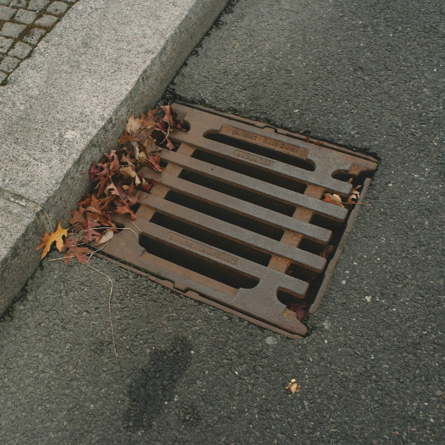 Photo by <a href="https://unsplash.com/@vonshnauzer?utm_source=unsplash&utm_medium=referral&utm_content=creditCopyText">Egor Myznik</a>