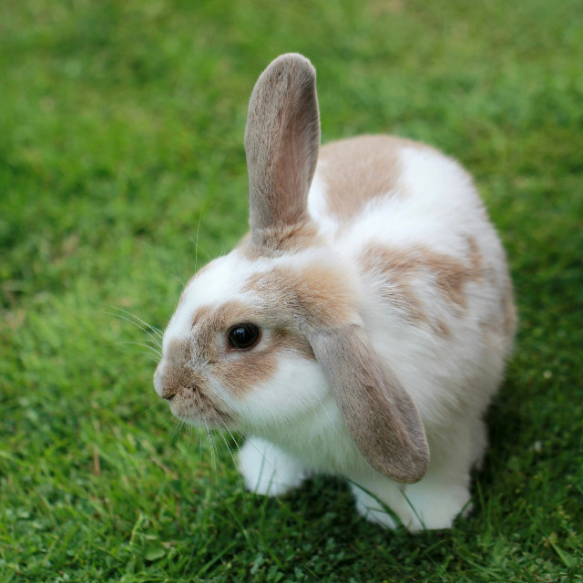 Photo by <a href="https://unsplash.com/@sandym10?utm_source=unsplash&utm_medium=referral&utm_content=creditCopyText">Sandy Millar</a>