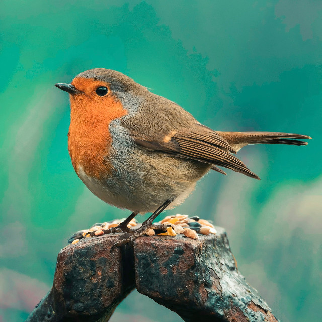 Photo by <a href="https://unsplash.com/@aarngiri?utm_content=creditCopyText&utm_medium=referral&utm_source=unsplash">AARN GIRI</a>