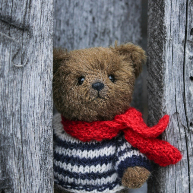 Photo by <a href="https://unsplash.com/@sanateddy?utm_source=unsplash&utm_medium=referral&utm_content=creditCopyText">Oxana Lyashenko</a>