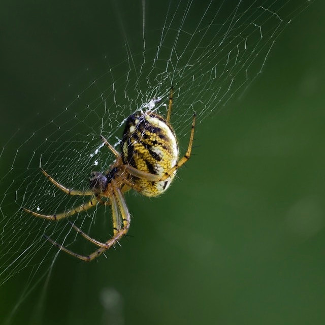 Photo by <a href="https://unsplash.com/@juriia56?utm_source=unsplash&utm_medium=referral&utm_content=creditCopyText">Yuri Antonenko</a>