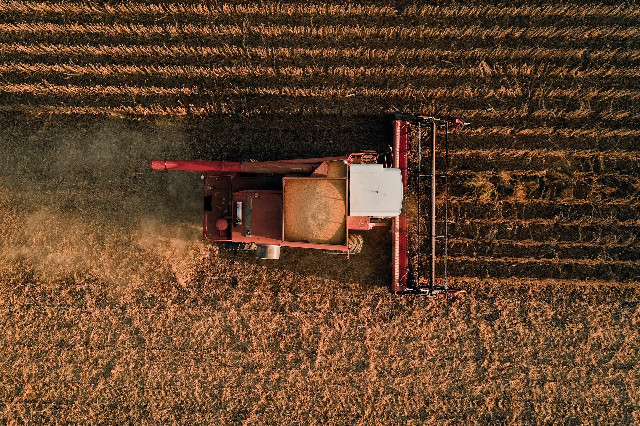 Photo by <a href="https://unsplash.com/@drosie?utm_content=creditCopyText&utm_medium=referral&utm_source=unsplash">Donnie Rosie</a>
