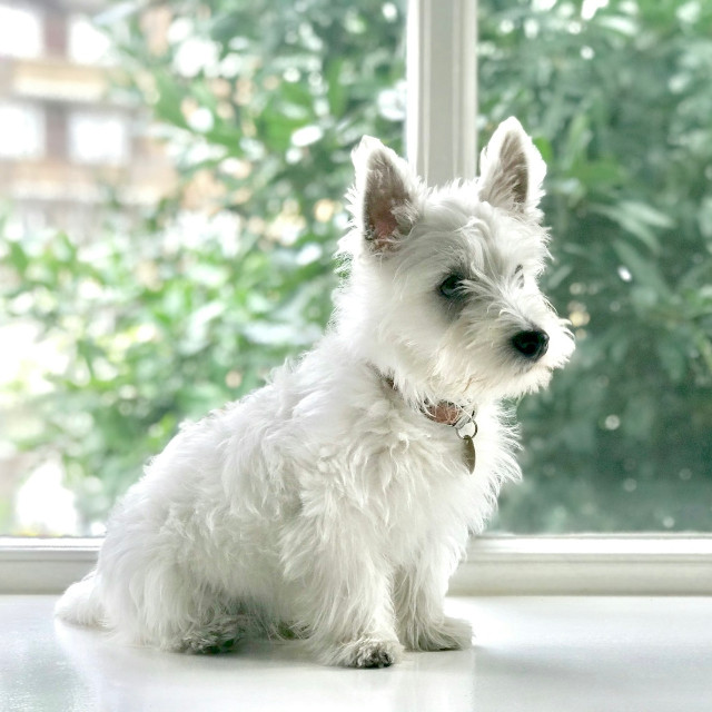 Photo by <a href="https://unsplash.com/@purplelydia?utm_source=unsplash&utm_medium=referral&utm_content=creditCopyText">Lydia Tan</a>