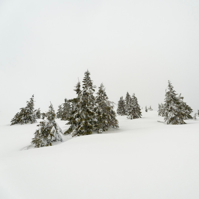 Photo by <a href="https://unsplash.com/@illes_cristi?utm_source=unsplash&utm_medium=referral&utm_content=creditCopyText">iuliu illes</a>