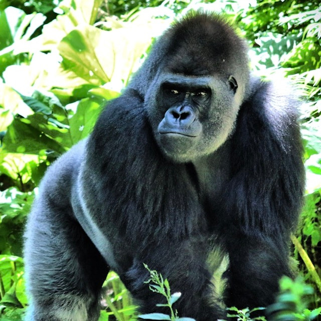 Photo by <a href="https://unsplash.com/@lauraseaman?utm_source=unsplash&utm_medium=referral&utm_content=creditCopyText">Laura Seaman</a>