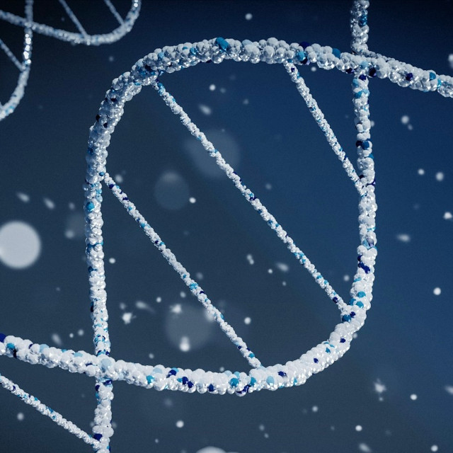 Photo by <a href="https://unsplash.com/@3dparadise?utm_source=unsplash&utm_medium=referral&utm_content=creditCopyText">Braňo</a>