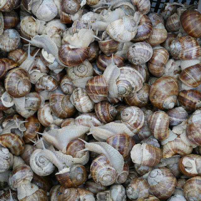 Photo by <a href="https://unsplash.com/@hagwall?utm_source=unsplash&utm_medium=referral&utm_content=creditCopyText">Mats Hagwall</a>