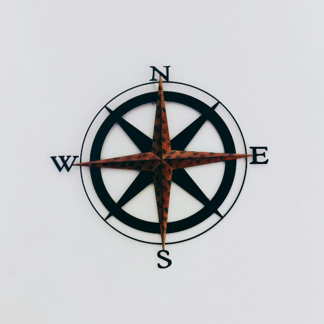 Photo by <a href="https://unsplash.com/@honeyyanibel?utm_source=unsplash&utm_medium=referral&utm_content=creditCopyText">Honey Yanibel Minaya Cruz</a>