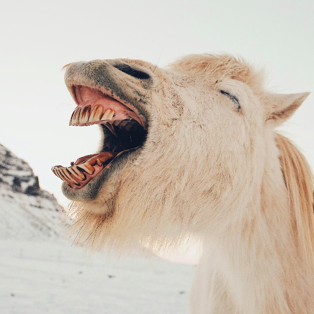 Photo by <a href="https://unsplash.com/@dan_scape?utm_source=unsplash&utm_medium=referral&utm_content=creditCopyText">Dan Cook</a>