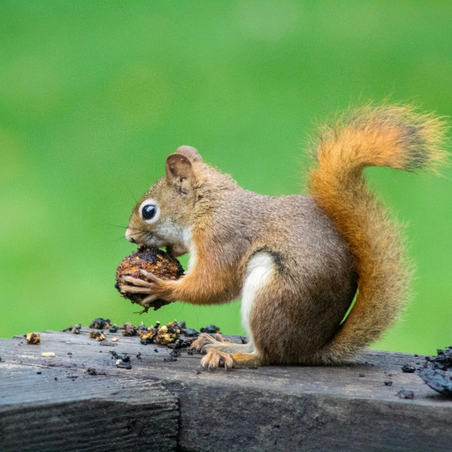 Photo by <a href="https://unsplash.com/@cmart10?utm_source=unsplash&utm_medium=referral&utm_content=creditCopyText">Caleb Martin</a>