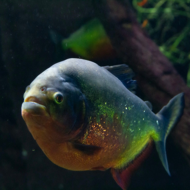 Photo by <a href="https://unsplash.com/@sofia_rotaru?utm_source=unsplash&utm_medium=referral&utm_content=creditCopyText">Sofia Rotaru</a>