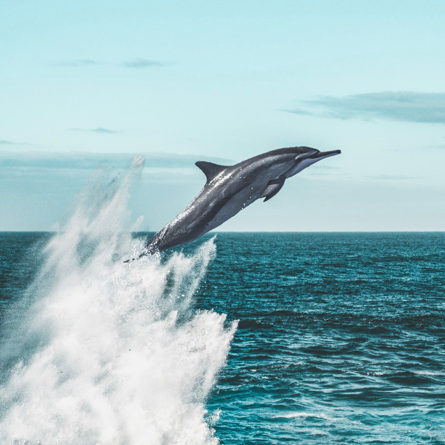 Photo by <a href="https://unsplash.com/@pagie?utm_source=unsplash&utm_medium=referral&utm_content=creditCopyText">Pagie Page</a>