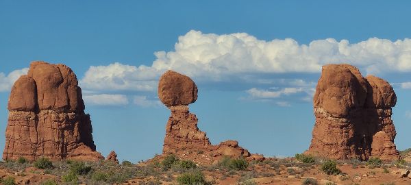 Photo by <a href="https://unsplash.com/@yugarya?utm_source=unsplash&utm_medium=referral&utm_content=creditCopyText">Yugarya Goyal</a> 
