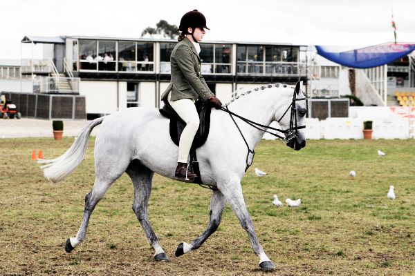 Jess Pell Riding Dunwood Brillance in the 2005 Melbourne Show. Photo: Fir0002/Flagstaffotos