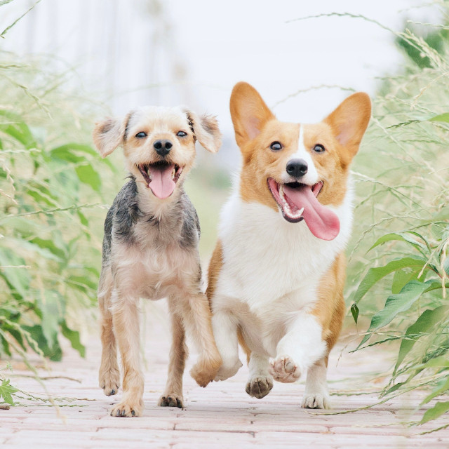 Photo by <a href="https://unsplash.com/@alvannee?utm_source=unsplash&utm_medium=referral&utm_content=creditCopyText">Alvan Nee</a>