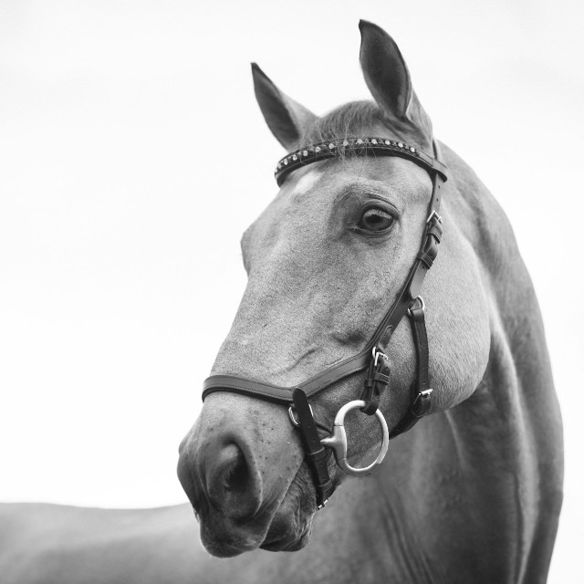 Photo by <a href="https://unsplash.com/@knl_photo?utm_content=creditCopyText&utm_medium=referral&utm_source=unsplash">Kirsten LaChance</a>